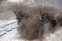 Thumbs/tn_IKW Wanroij 2016 062.jpg